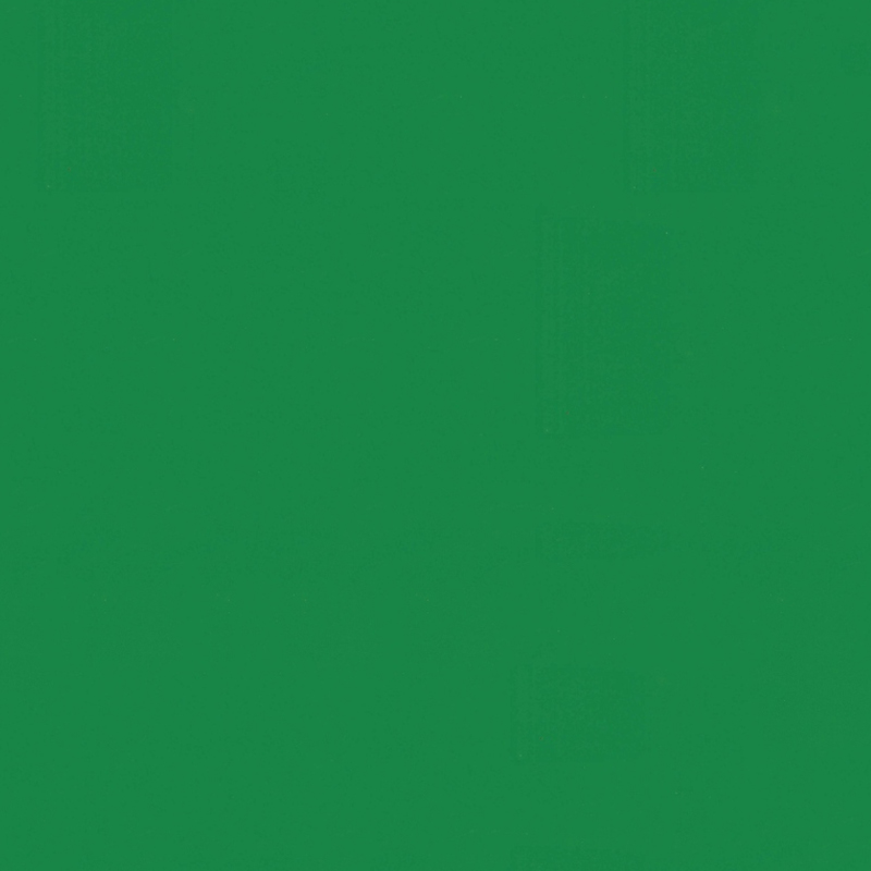 Chartreuse Green PET Transfer film pro triclinio Maecenas vitae Wall