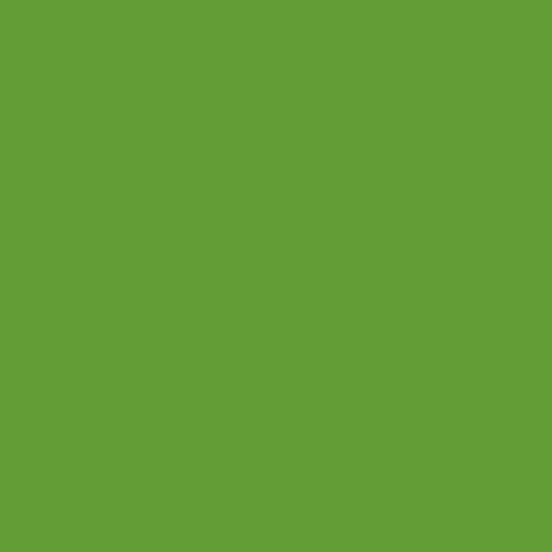 Apple Green PET Transfer film pro Domo scrinium Decoration