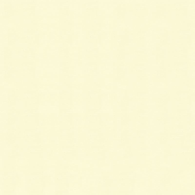 Eburneum White Cubiculum Wall Decoration DELICTUM Frigus Transferre Film