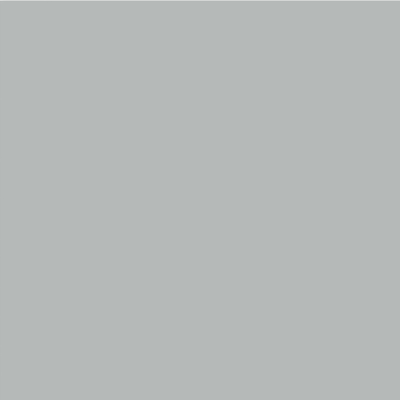 Lux Grey Living Room Wall Decoration PET Cold Transfer Film